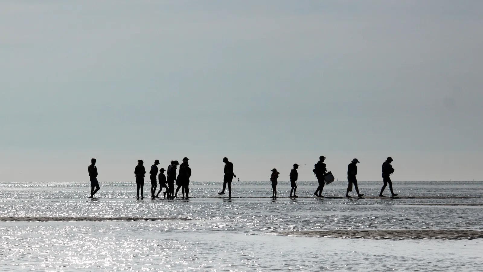 Paysages et évasions