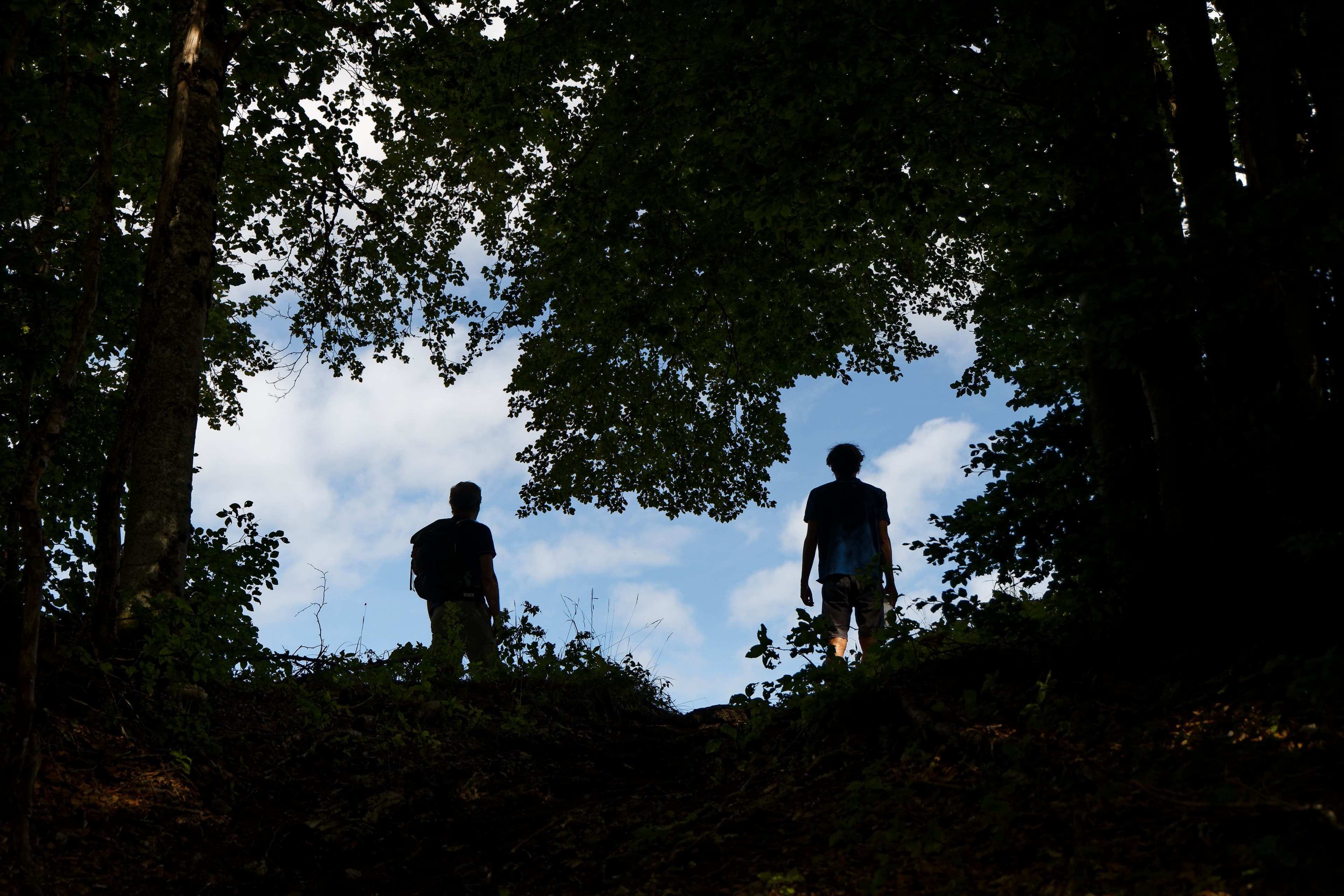 Deux silhouettes contemplant le ciel à travers la voûte des arbres